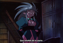 Tenchi Muyo! The Night Before the Carnival